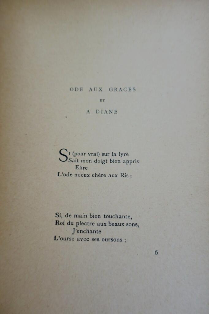 Lyrische Studien und pastorale Einsichten