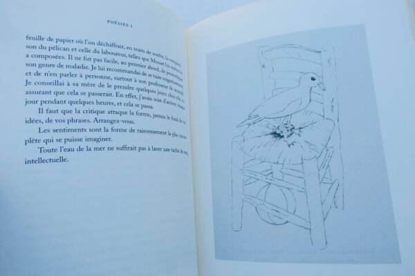 Poésies with Silbermann's drawings and postface