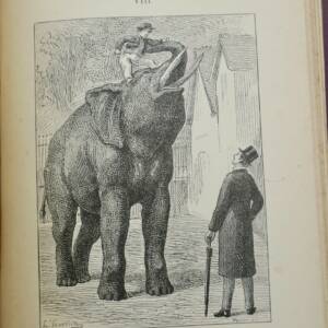 ECOLIER AMERICAIN Hetzel + le petit Jack ill-Froelich