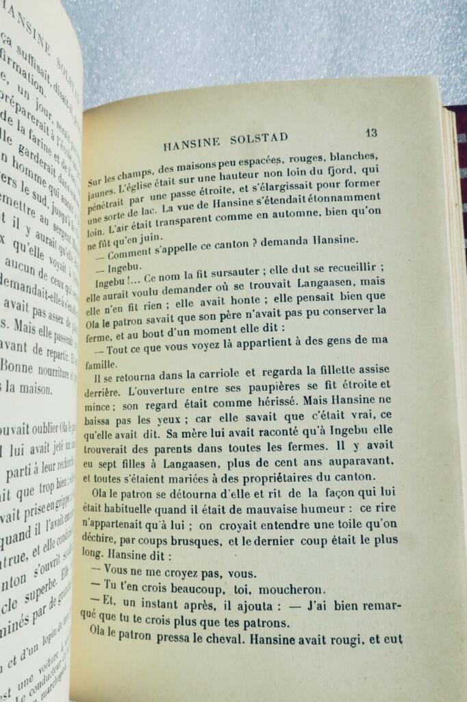 Hansine Solstad - Norwegian novel translated
