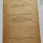 Egypte NAVILLE L'écriture égyptienne. Essai sur l'origine et la formation..