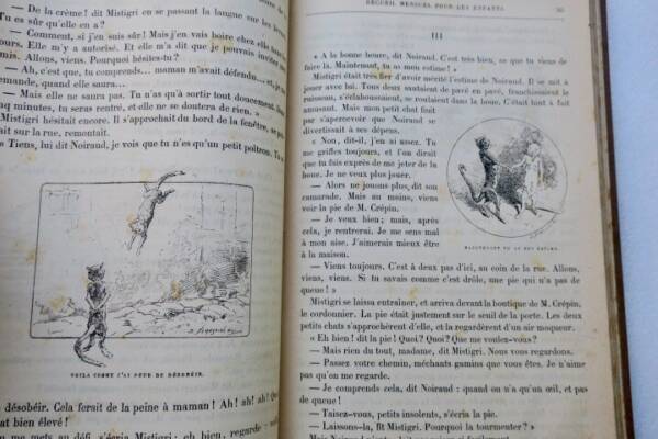 Children's Monthly Journal 1883-1884
