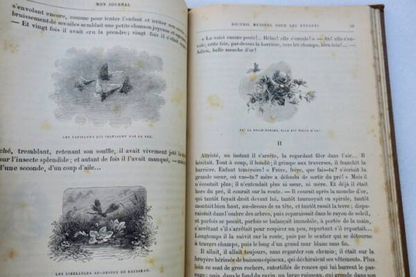 Children's Monthly Journal 1883-1884