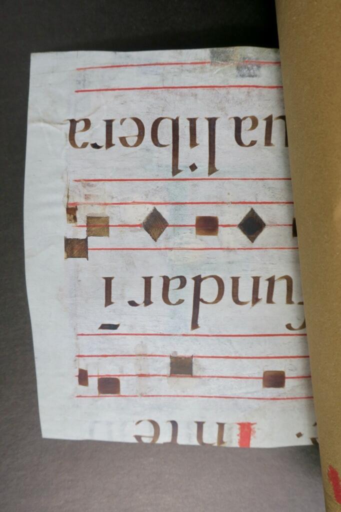 Original Buchmalerei 16. Jahrhundert - Rebus