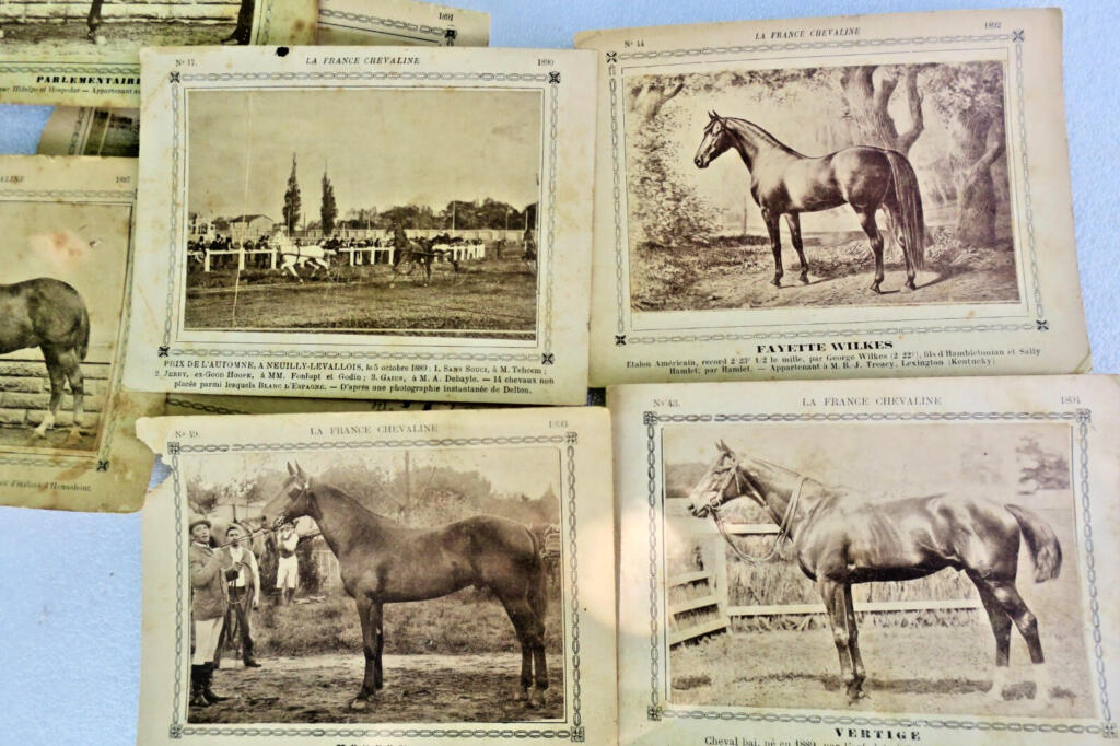 Seltene Reiterkarten-Sammlung