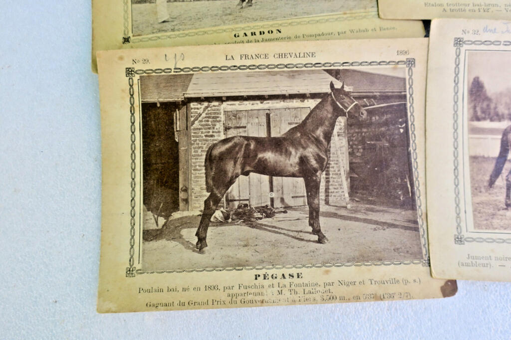 Rare 19th-century French horse breeding cards collection