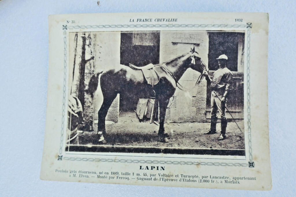 Rare 19th-century French horse breeding cards collection