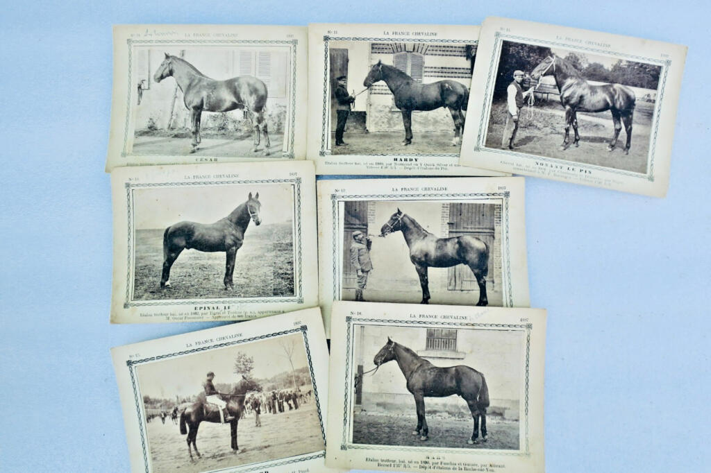 Seltene Reiterkarten-Sammlung