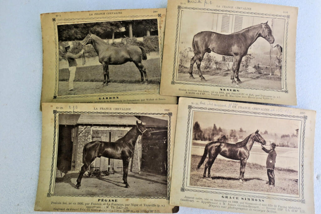 Rare 19th-century French horse breeding cards collection