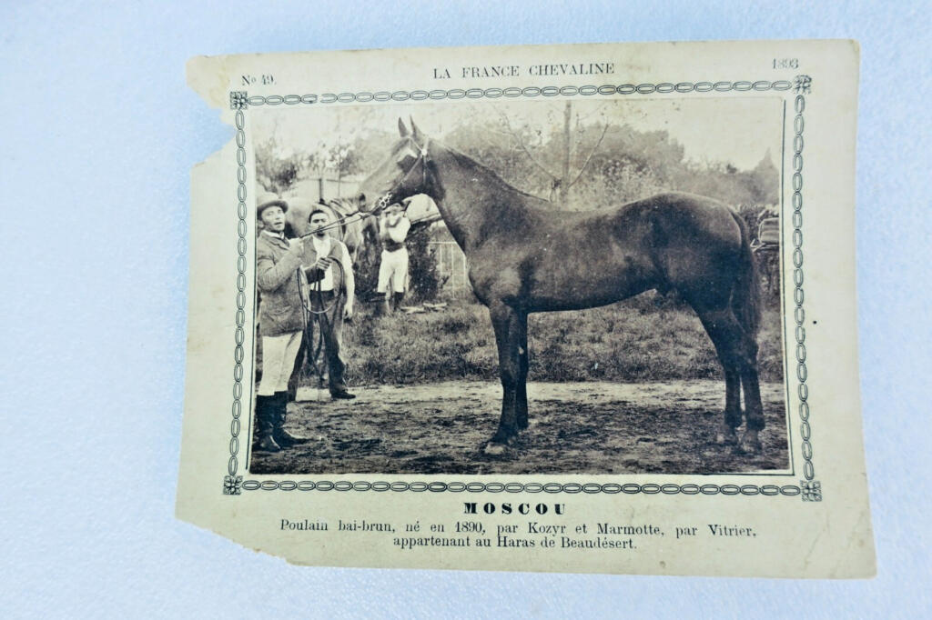 Rare 19th-century French horse breeding cards collection
