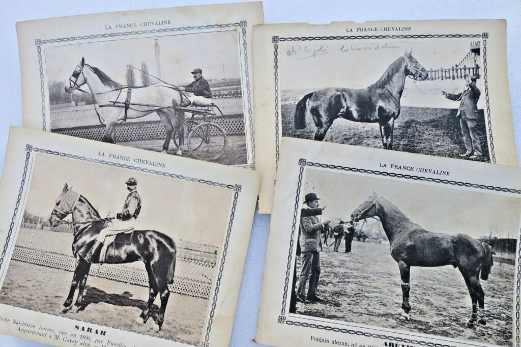Rare 19th-century French horse breeding cards collection