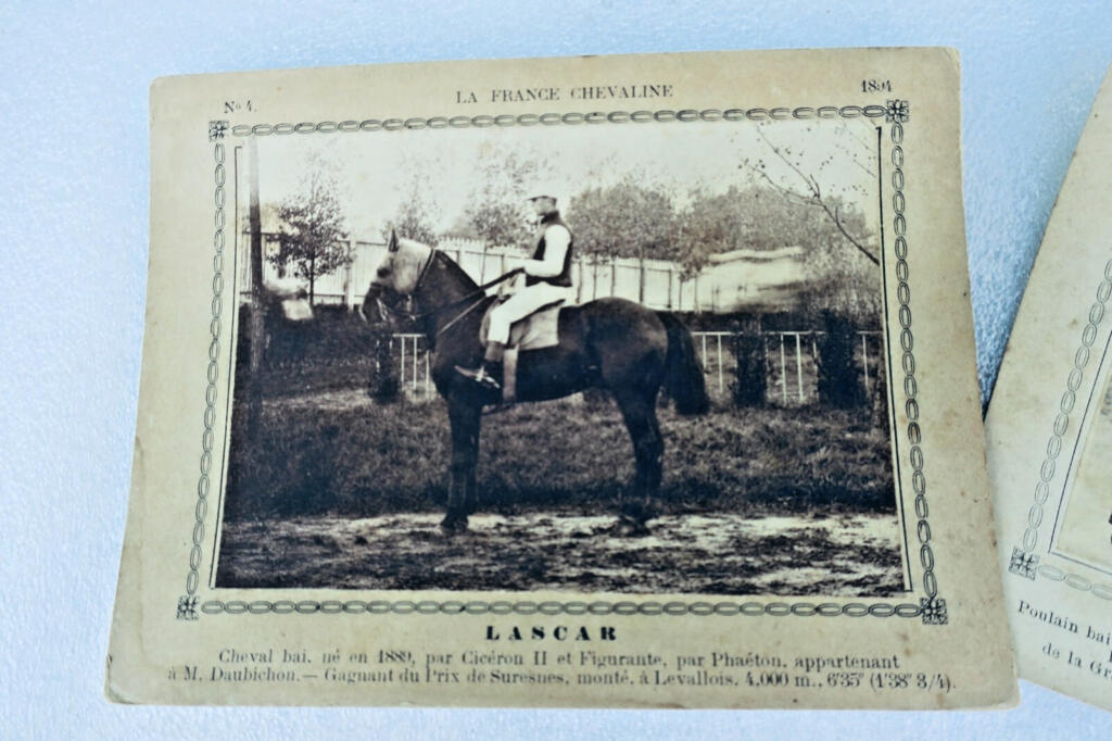 Rare 19th-century French horse breeding cards collection