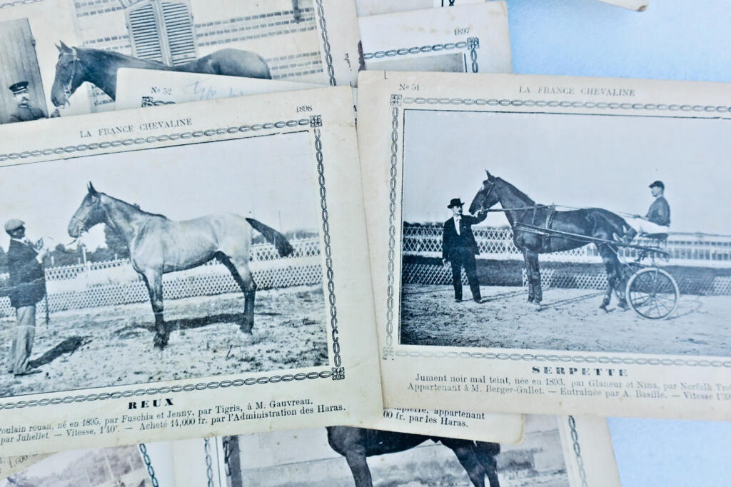 Rare 19th-century French horse breeding cards collection