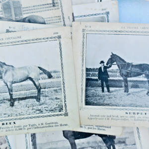 équitation COURSE CONCOURT La France chevaline 345 cartes