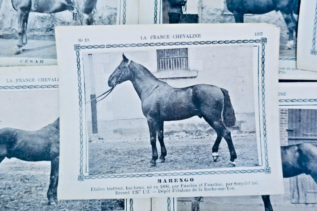 Seltene Reiterkarten-Sammlung