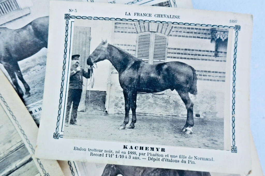 Seltene Reiterkarten-Sammlung