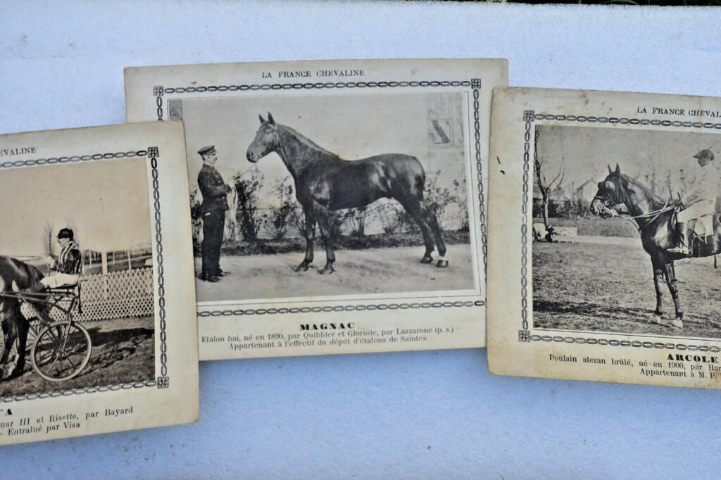 Rare 19th-century French horse breeding cards collection