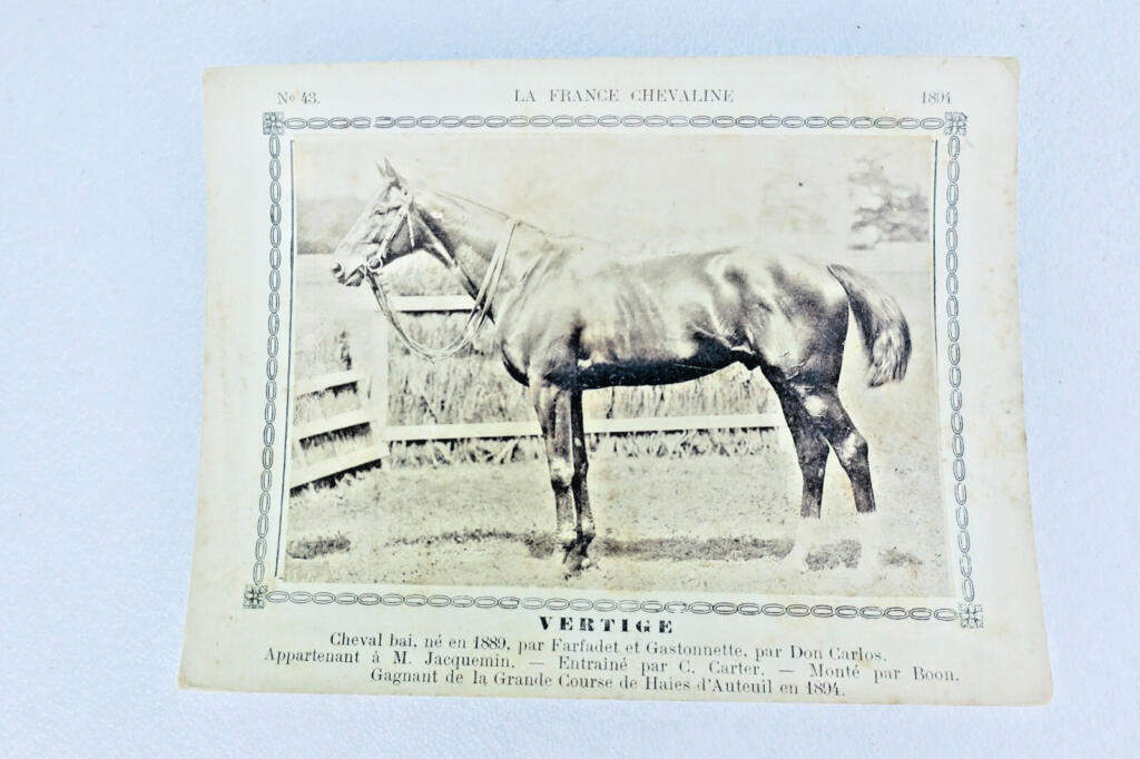 Rare 19th-century French horse breeding cards collection