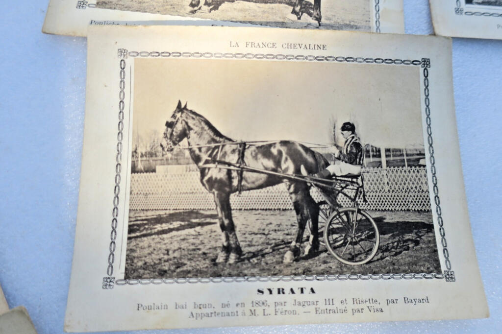 Rare 19th-century French horse breeding cards collection