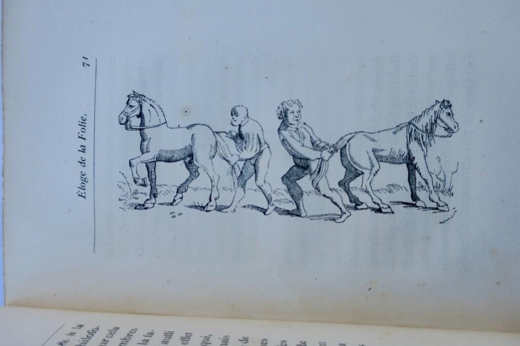 Lob der Torheit mit Holbein-Illustrationen