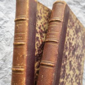 Ernest Daudet La succession Chavanet 1867