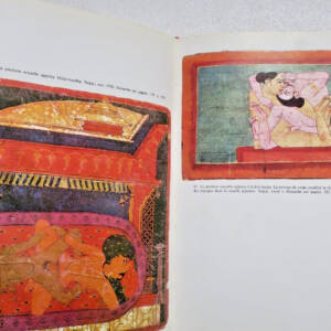 Erotique L'ART DU TANTRISME