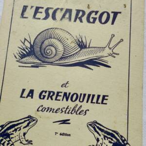 Escargot et la grenouille comestibles
