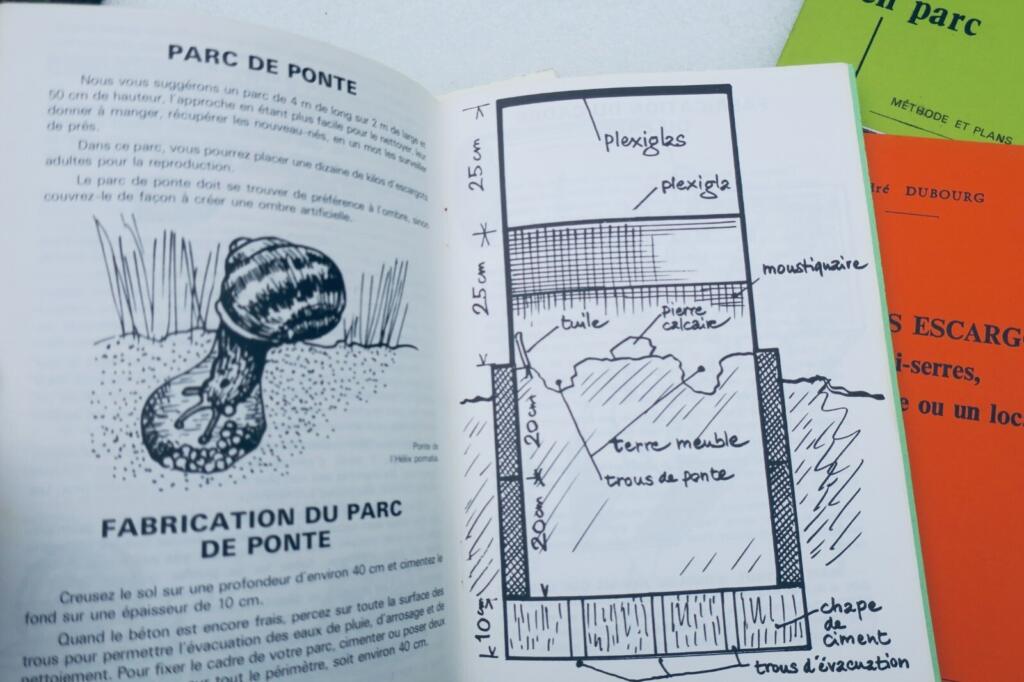 Complete Guide to Snail Farming