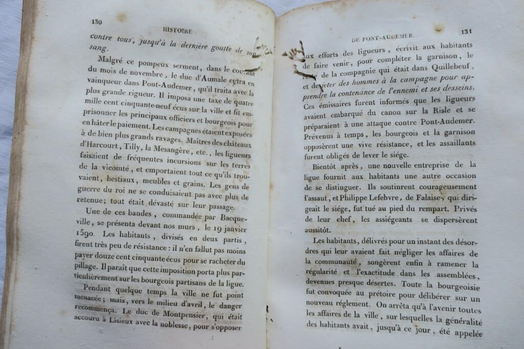 Historischer, archäologischer und statistischer Essay zum Bezirk Pont-Audemer