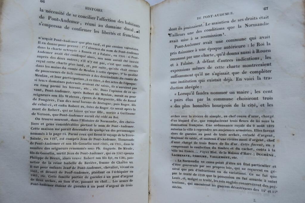 Historischer, archäologischer und statistischer Essay zum Bezirk Pont-Audemer