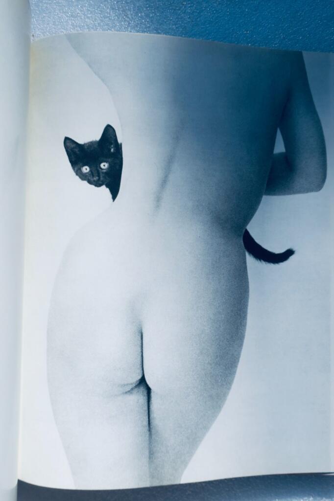 Esthétique du nu dans le monde 1964