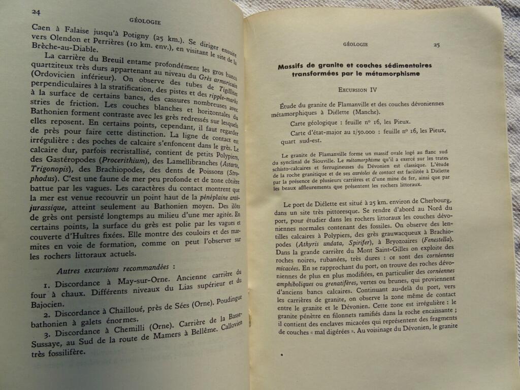 Normandische Studien: Darstellungen und Methoden