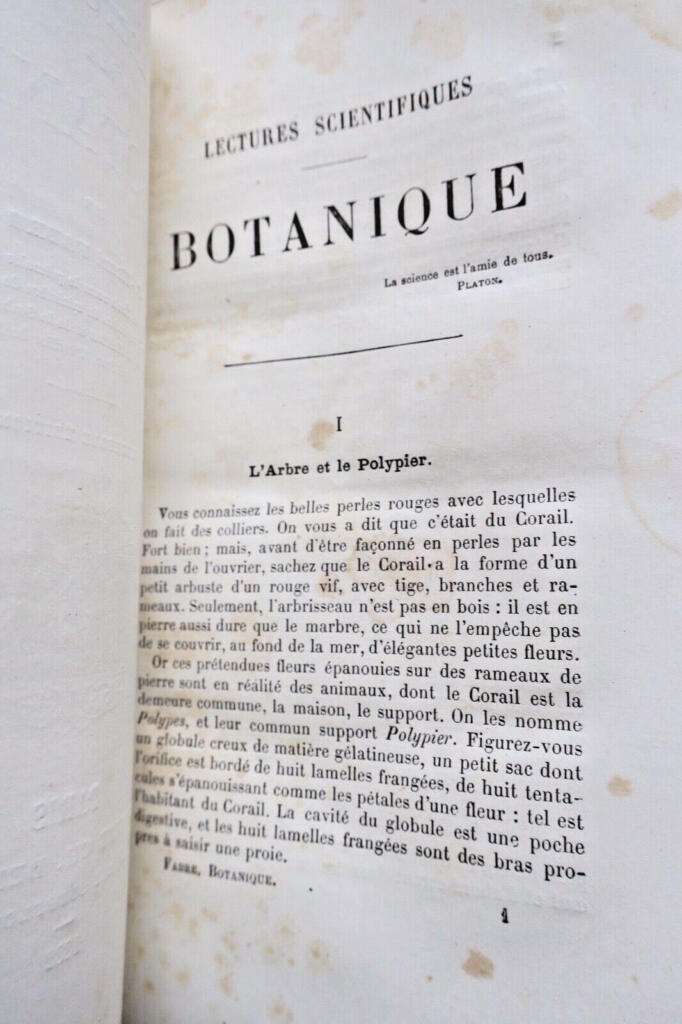 Botanische Vorträge von 1882