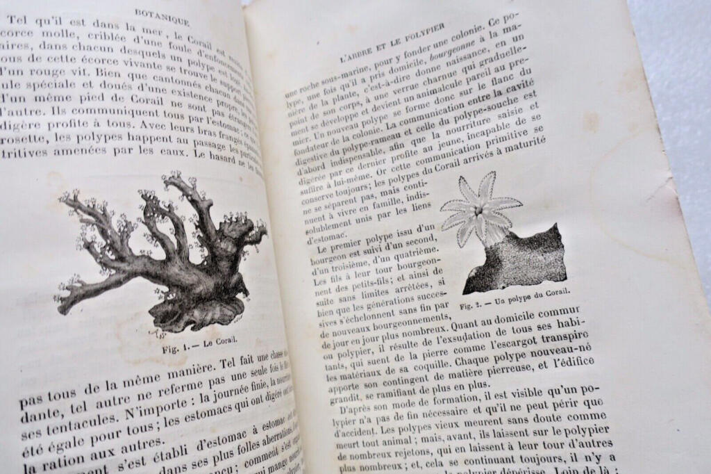 Botanische Vorträge von 1882