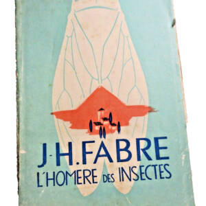 FABRE L'HOMERE DES INSECTES