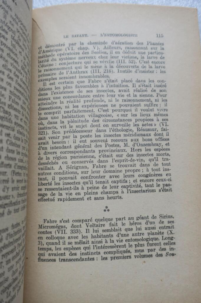 Fabre: Der Homer der Insekten