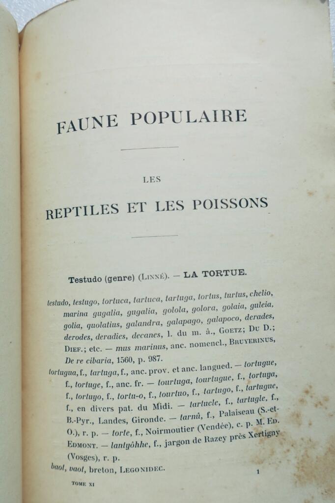 French reptiles and fish fauna guide