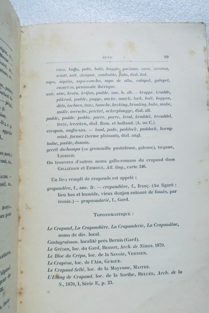 French reptiles and fish fauna guide