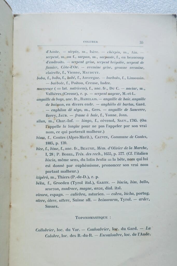 French reptiles and fish fauna guide