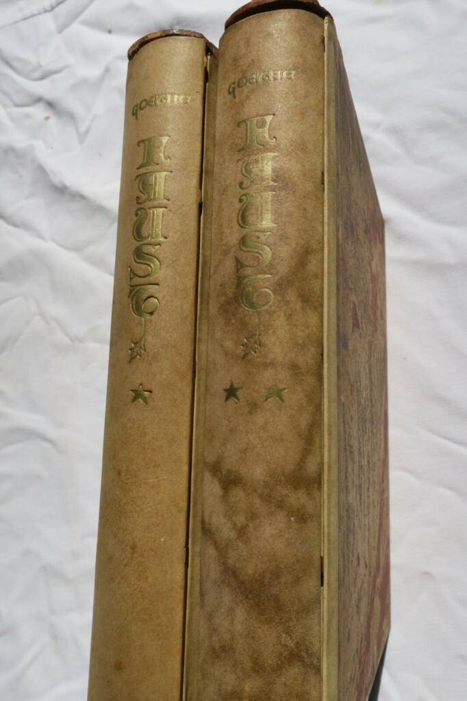 Goethe's Faust with Illustrations