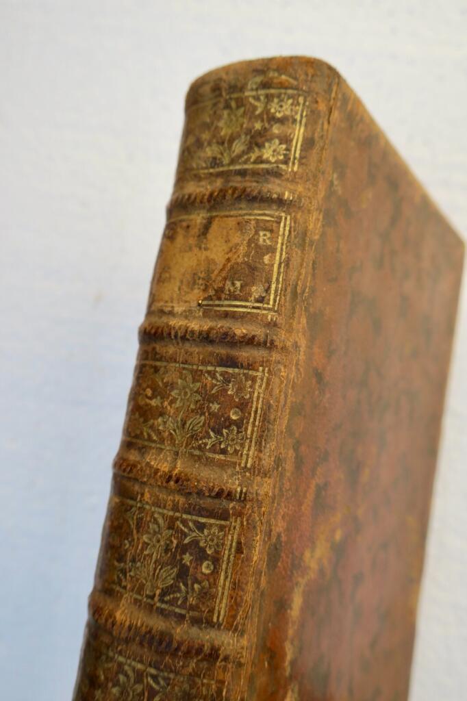 Telemachus' Adventures Retold