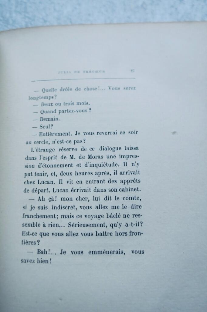情熱と貴族的陰謀の物語