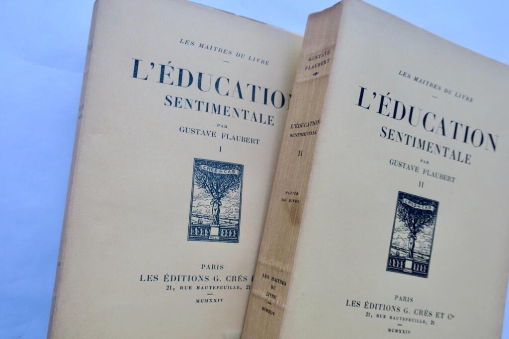 Flaubert's coming-of-age story