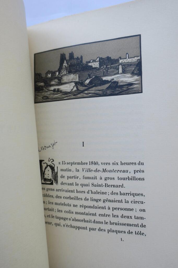 Flaubert's coming-of-age story