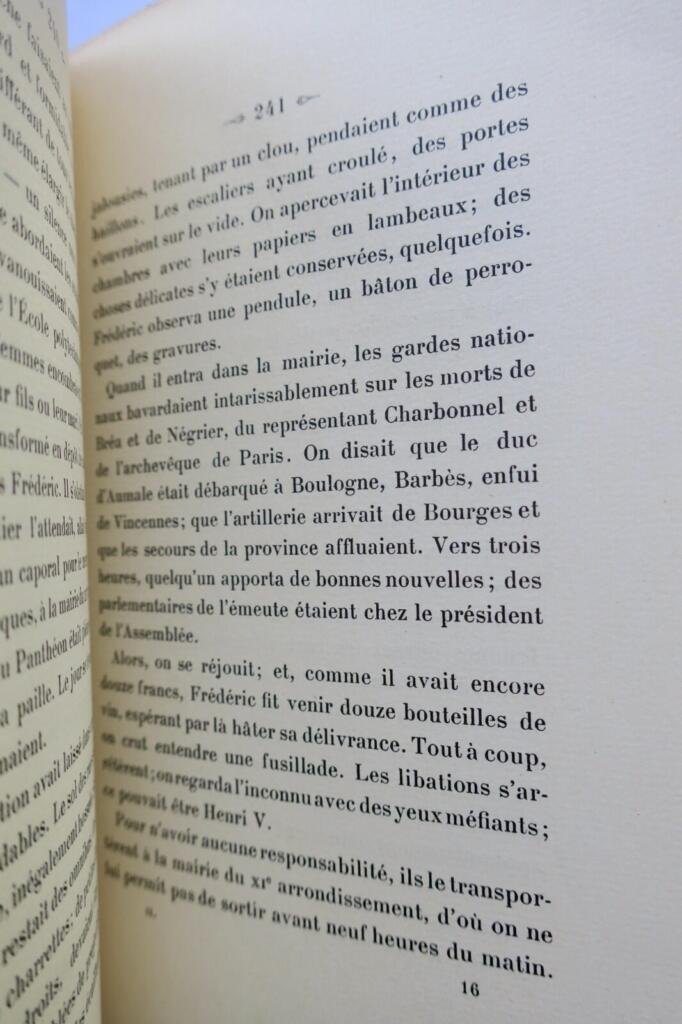 Flaubert's coming-of-age story
