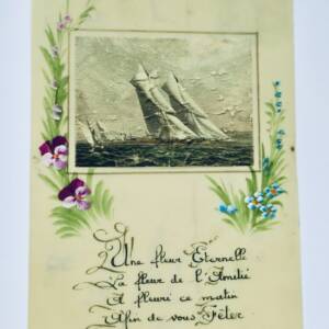 fleur éternelle fleur de l'amitié a fleuri ce matin afin de vous fêter PEINTE