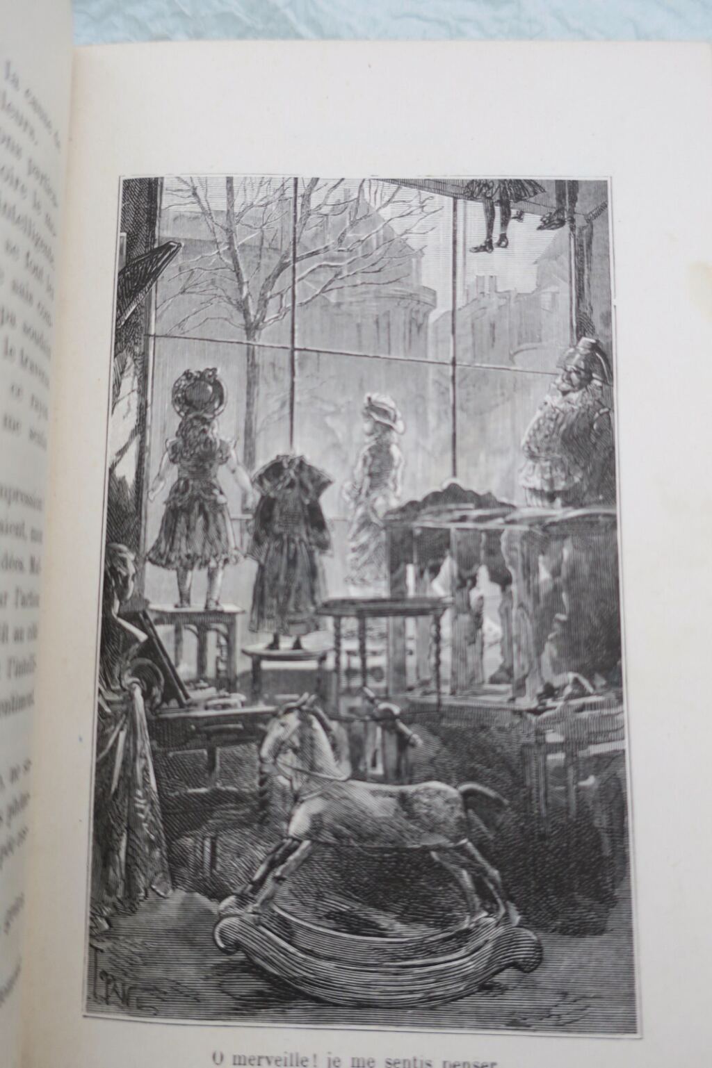 Bouché en Cœur von Zénaïde Fleuriot, 1882