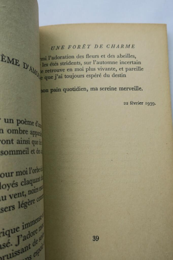 Love Poems - Enchanted Forest