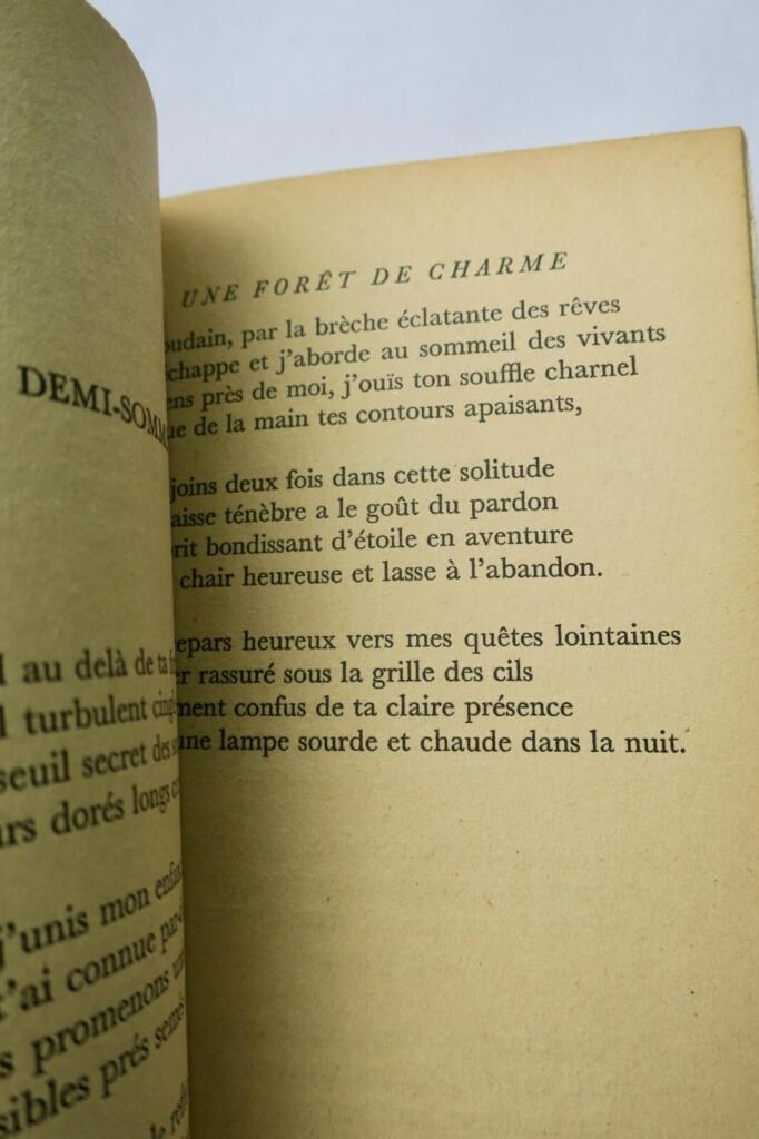 Love Poems - Enchanted Forest