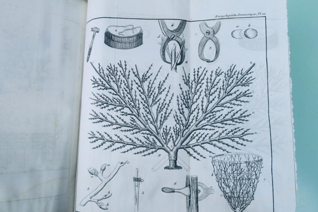 1830 Hausenzyklopädie für Kunst, Handwerk & Landleben